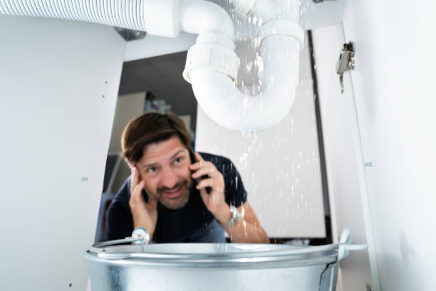 Best Clogged Drain Plumber  in Utica, MI